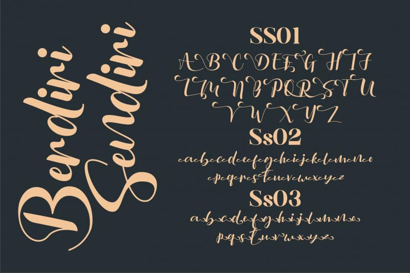 Berdiri Sendiri Script Font preview image 4