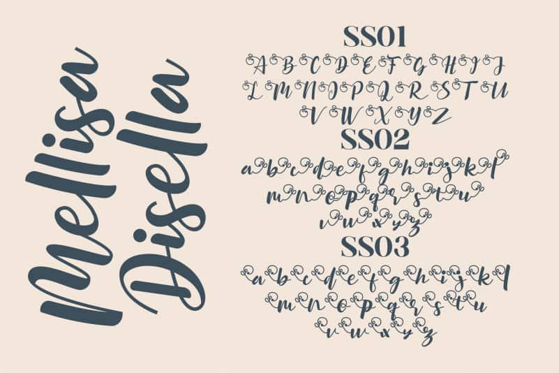 Mellisa Disella Font preview image 4