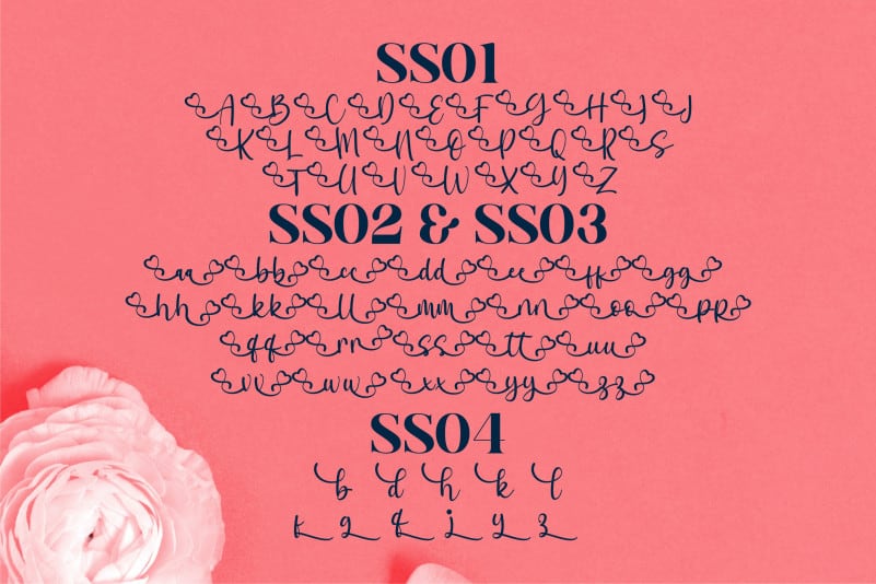 Meyabi Script Font preview image 4