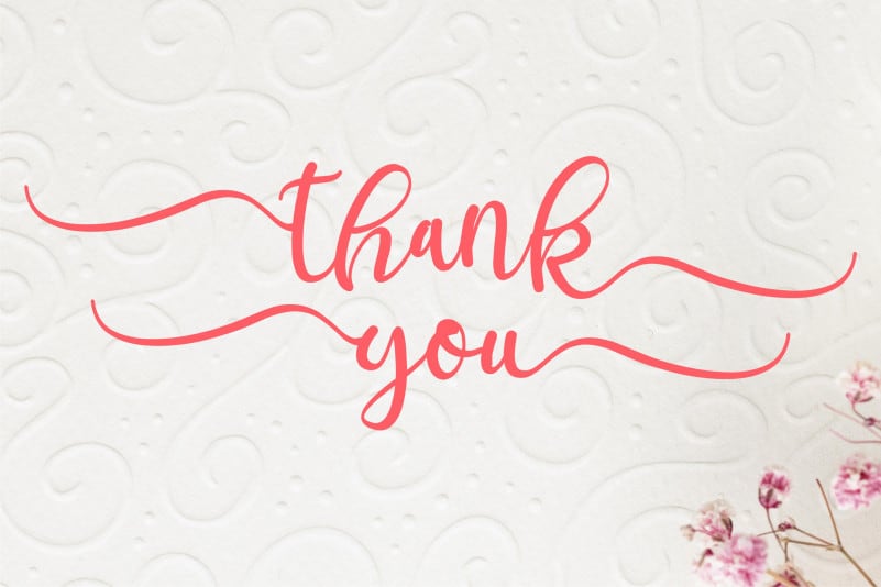 Andiani Script Font preview image 5