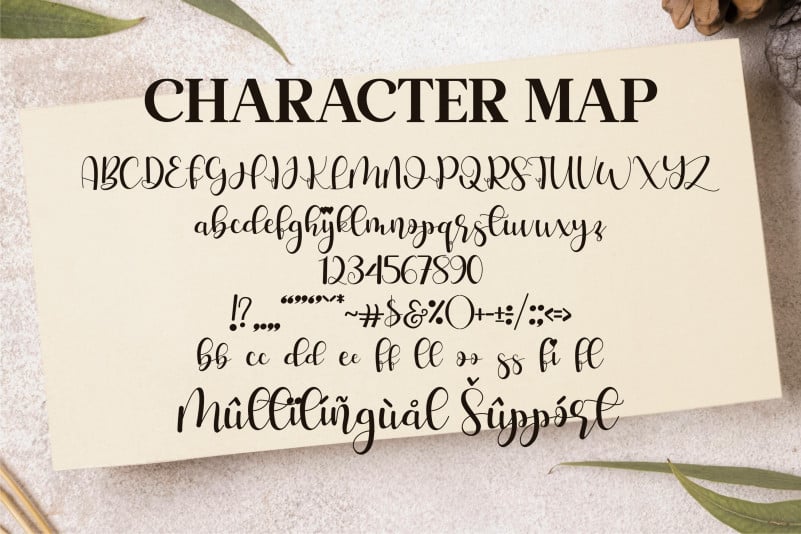 Hello Stefanie Calligraphy Font preview image 3