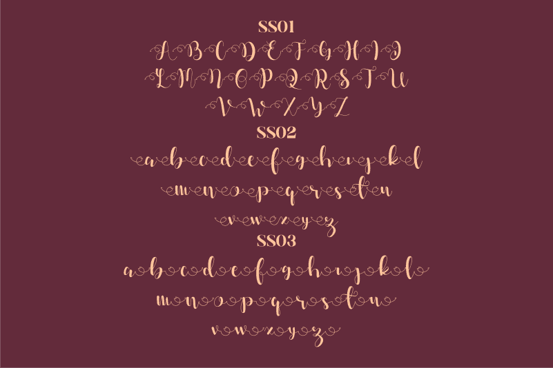 Dahllia Claire Calligraphy Font preview image 4