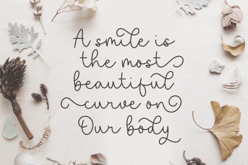 Saylora Script Font preview image 2