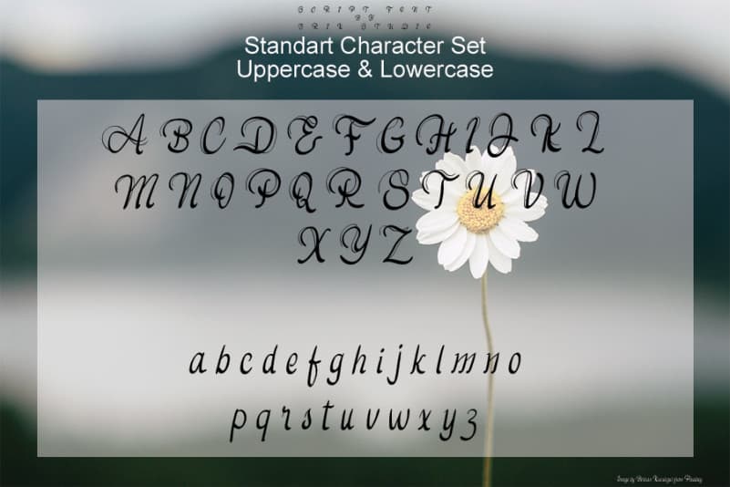 Daisy Flowers Script Font preview image 3