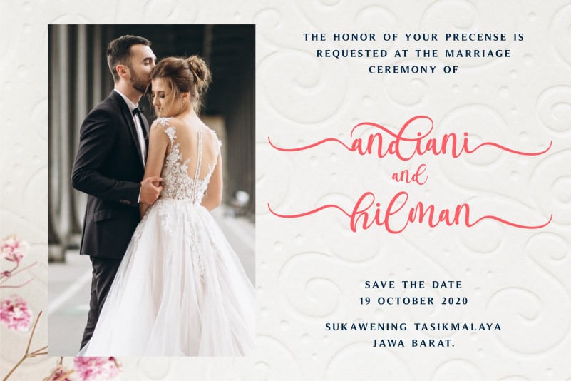 Andiani Script Font preview image 2