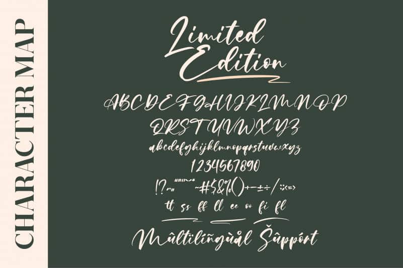 Limited Edition Script Font preview image 2