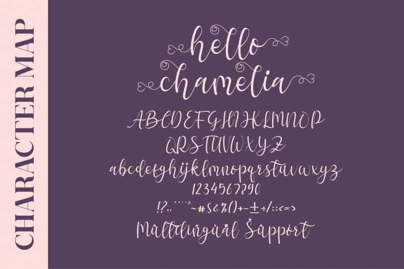 Hello Chamelia Calligraphy Font preview image 2
