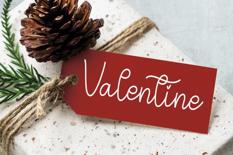 Bullenita Handwritten Font preview image 2