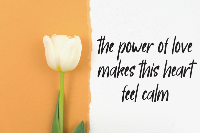 Happymonday Script Font preview image 2
