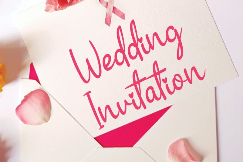 Michigan Script Font preview image 2
