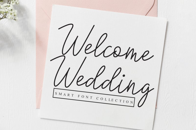 Sallimetta Script Font preview image 2