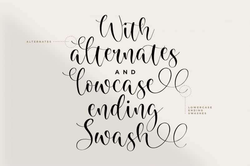 Richela Script Font preview image 2