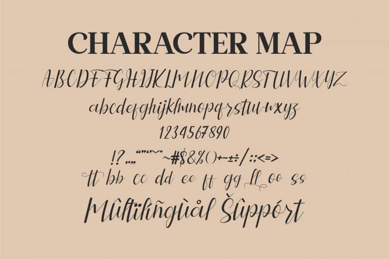 Leniyha Script Font preview image 2
