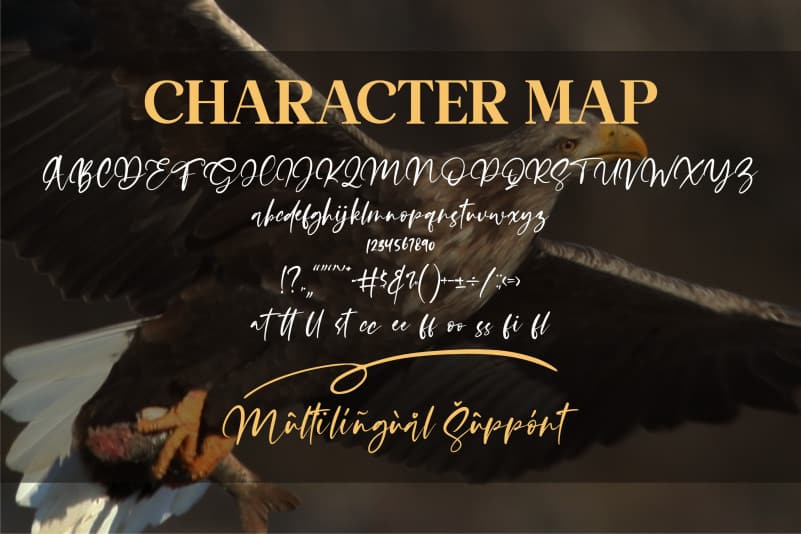 Satisfield Script Font preview image 2