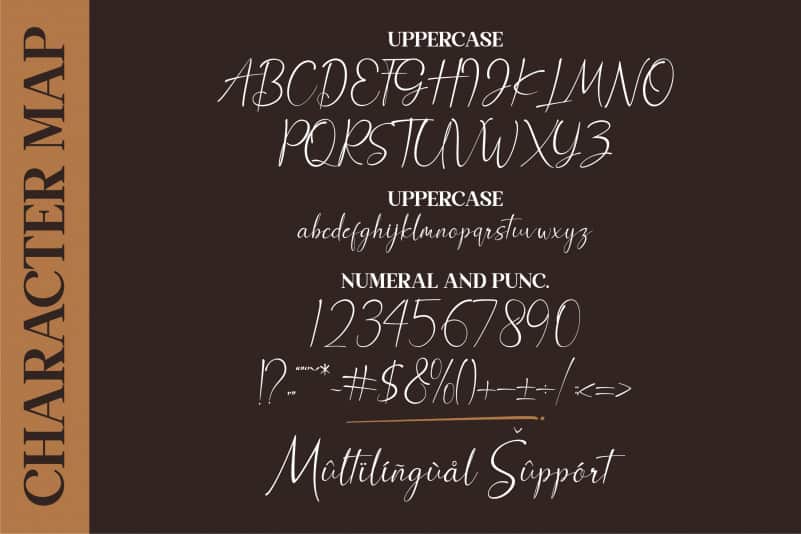 Anthony Hartman Script Font preview image 2