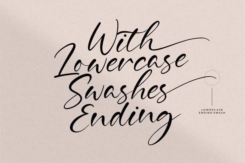 Delmona Calligraphy Font preview image 2