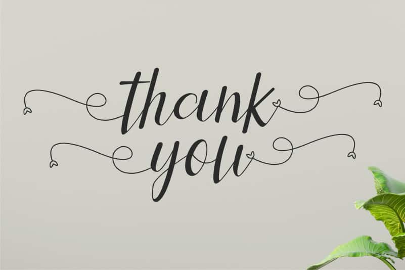 Leniyha Script Font preview image 5