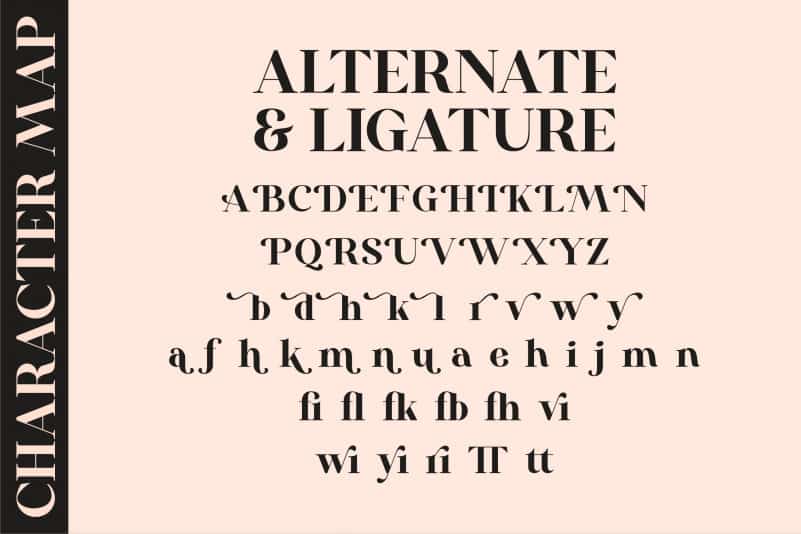 Diamond Sparkling Serif Font preview image 3