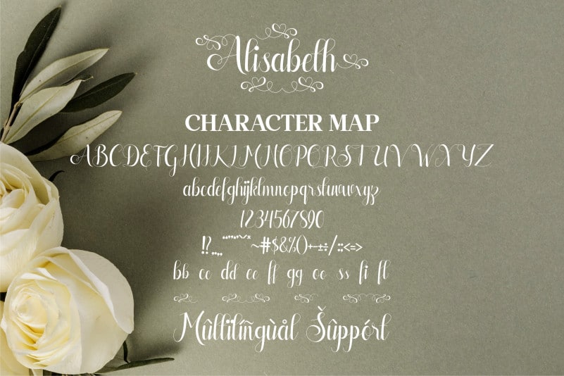 Alisabeth Script Font preview image 2