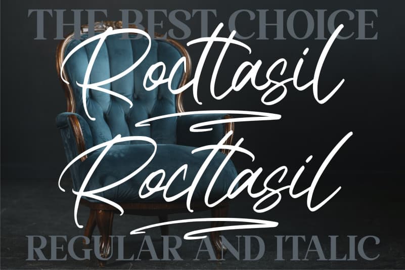 Rocttasil Script Font preview image 3