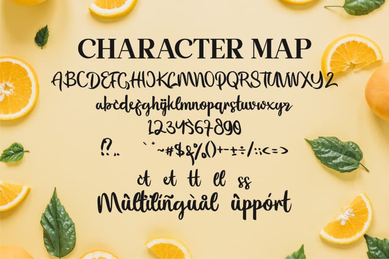 Florissha Script Font preview image 2