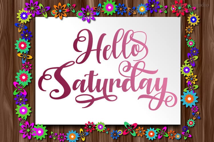 Regina Bold Script Font preview image 3