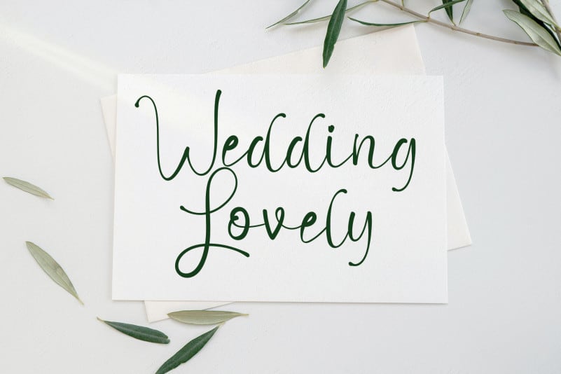 Hello Butterfly Calligraphy Font preview image 3