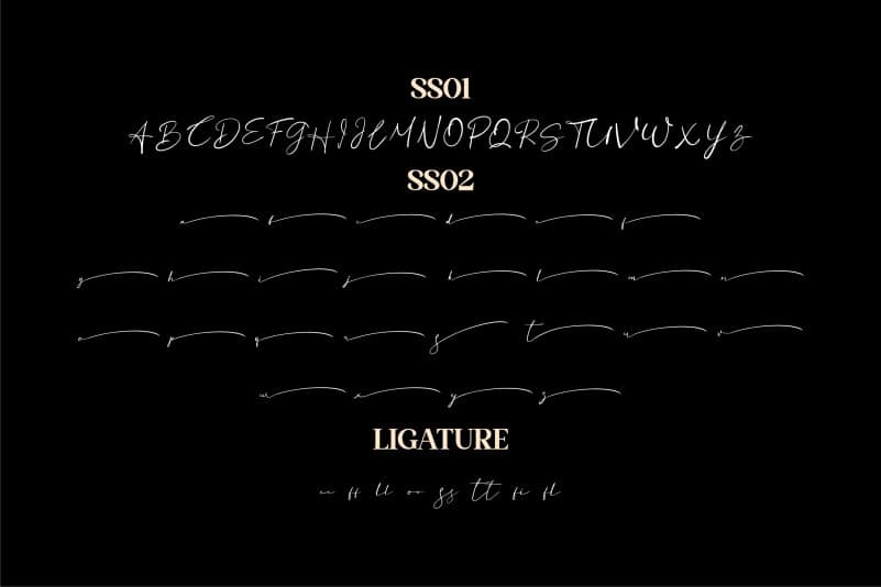 Basstian Handwritten Font preview image 3