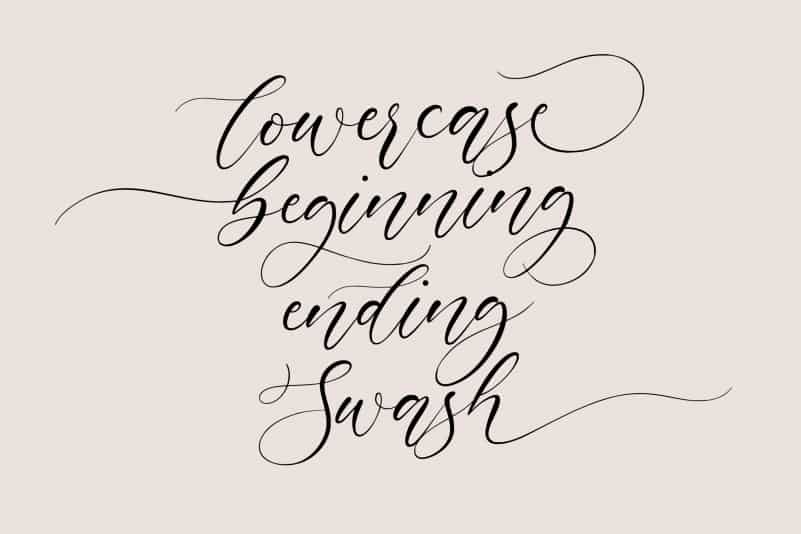 Mignola Calligraphy Font preview image 3