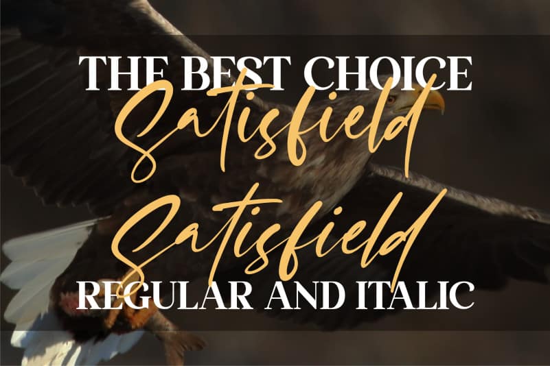 Satisfield Script Font preview image 3