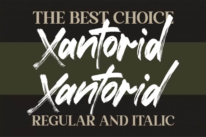 Xantorid Font preview image 3