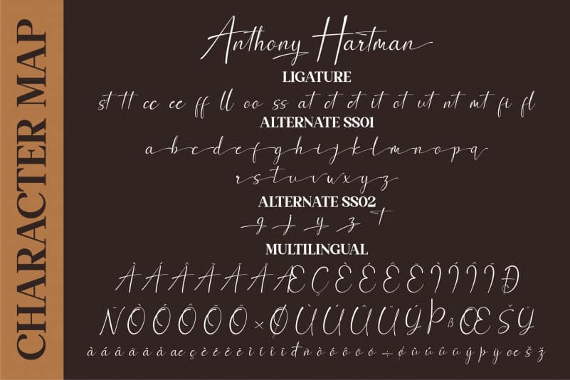 Anthony Hartman Script Font preview image 3