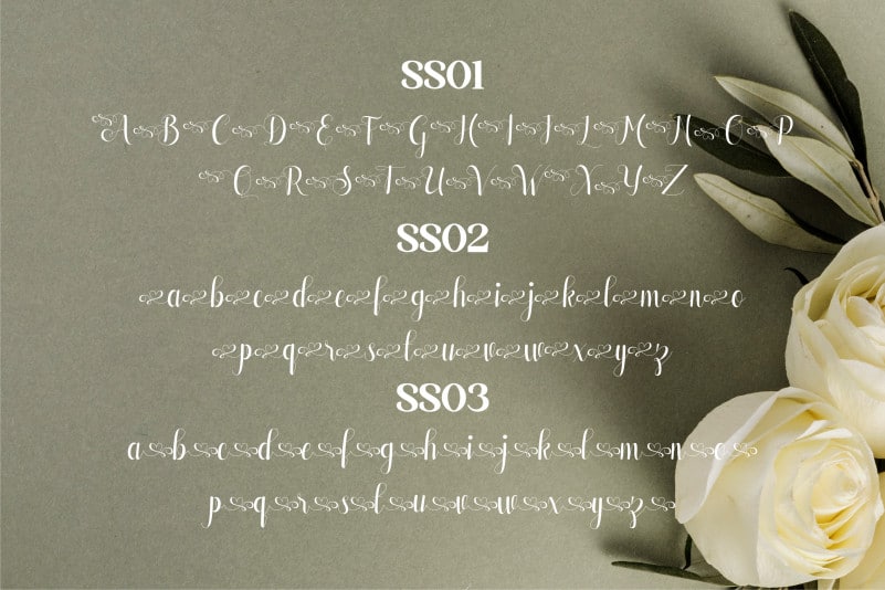 Alisabeth Script Font preview image 3
