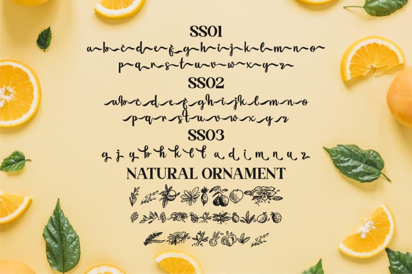 Florissha Script Font preview image 3