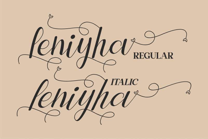 Leniyha Script Font preview image 4
