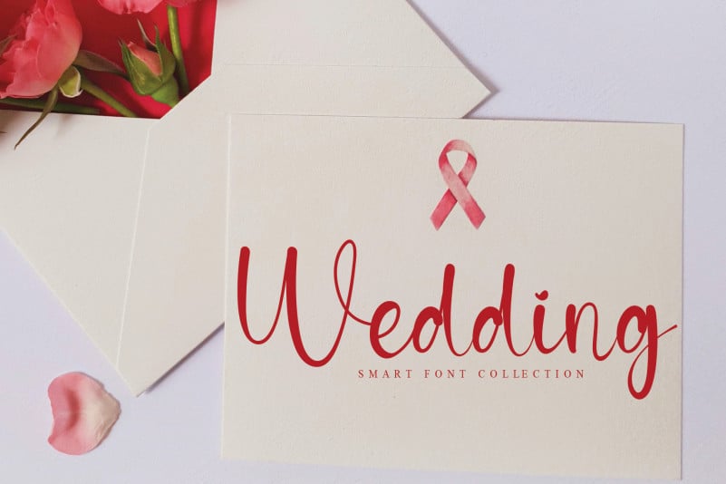 Agreeable Script Font preview image 4