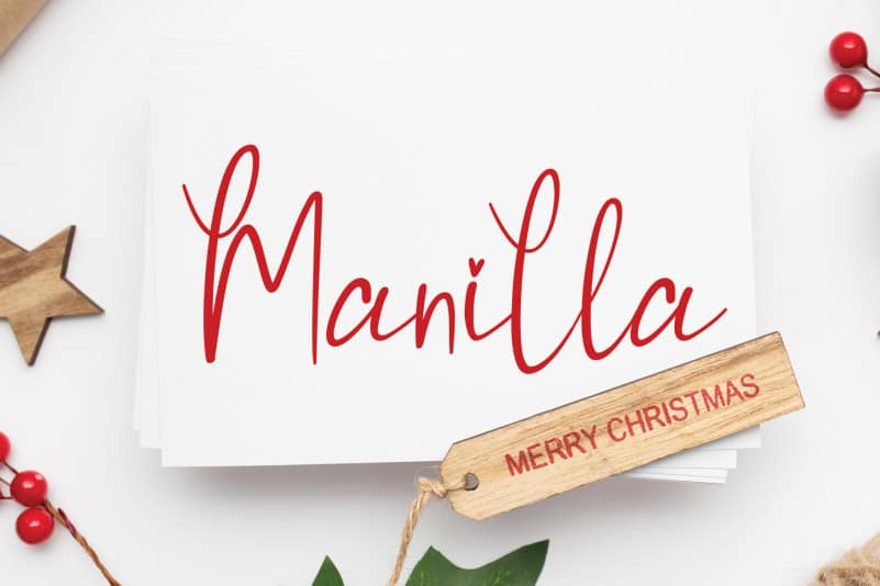 Butterfly1 Script Font preview image 5