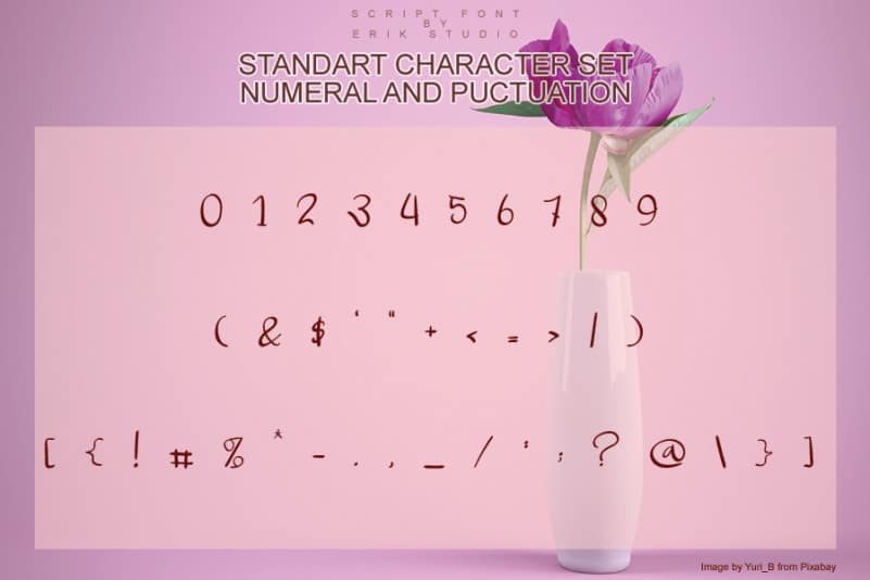 Wedding Day Script Font preview image 5