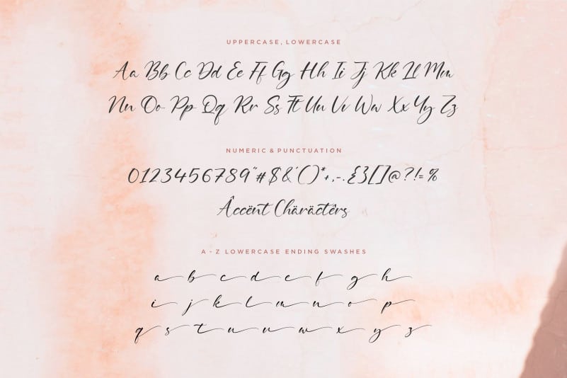 Delmona Calligraphy Font preview image 4