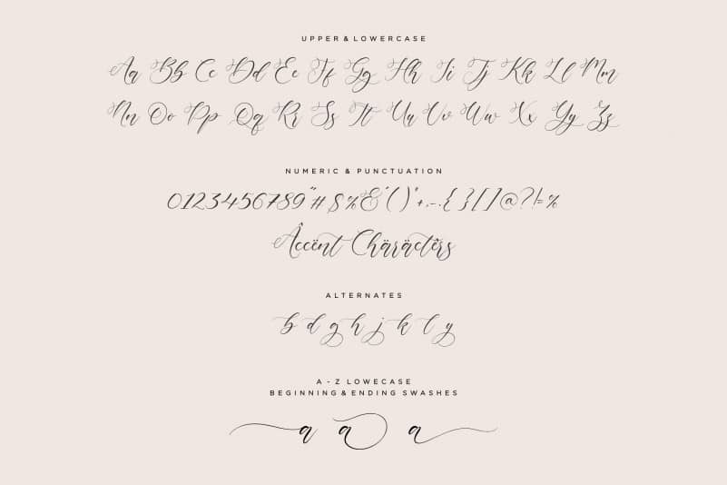 Mignola Calligraphy Font preview image 4