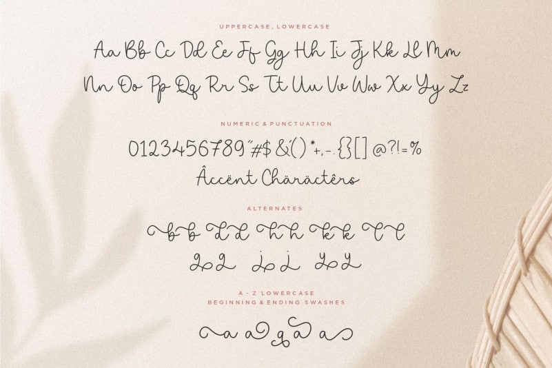 Saylora Script Font preview image 4
