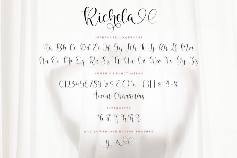 Richela Script Font preview image 4
