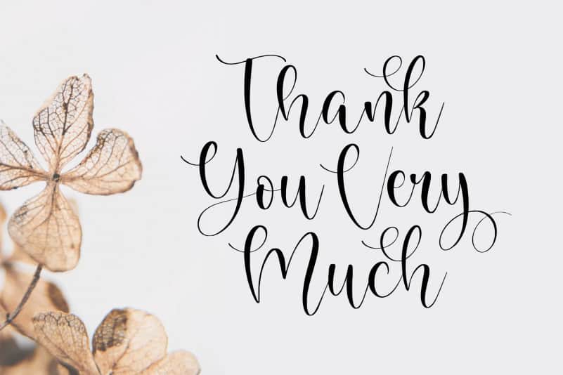 Richela Script Font preview image 5