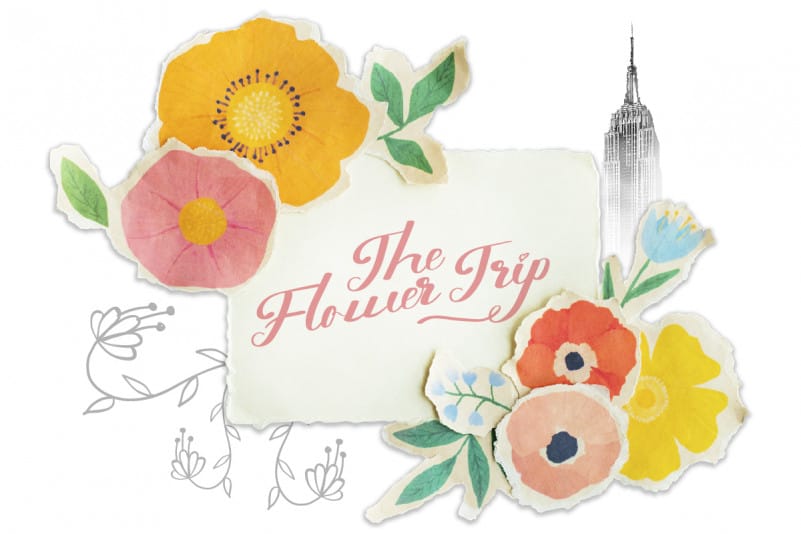 Ustopia Calligraphy Font preview image 3