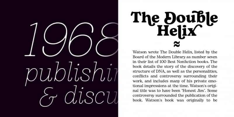 Bogart Serif Font Family preview image 4