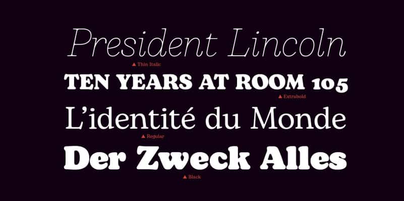 Bogart Serif Font Family preview image 3