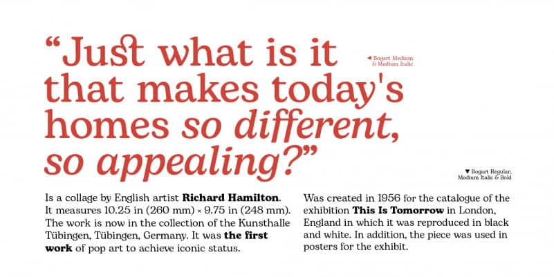 Bogart Serif Font Family preview image 2