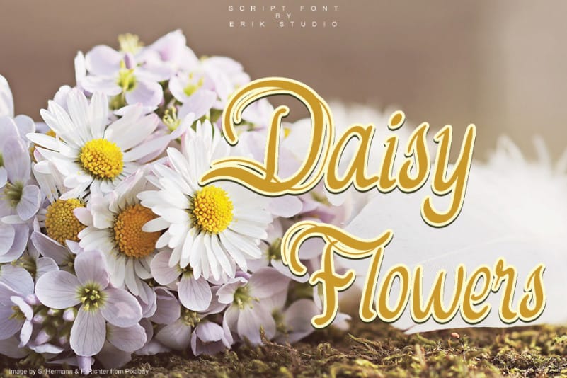 Daisy Flowers Script Font