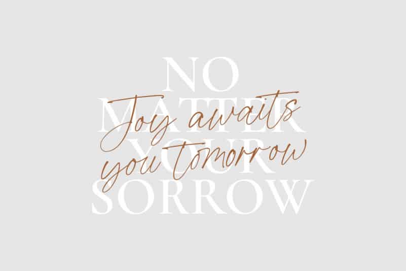 Fallen Jones Script Font preview image 2