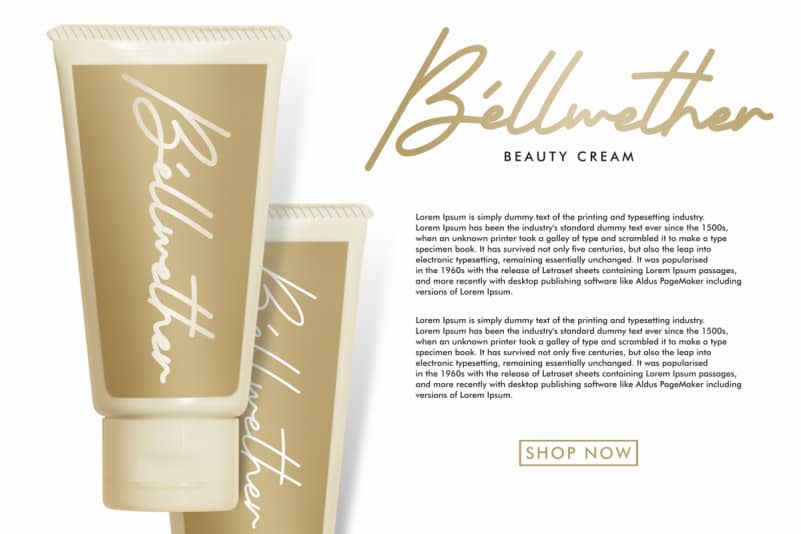 Beautyous Signature Script Font preview image 5